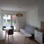 Rent 2 bedroom apartment of 38 m² in Opole Kolonia Gosławicka - okolice Witosa