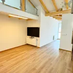 Rent 3 bedroom apartment of 120 m² in Olomouc