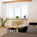 Rent 1 bedroom apartment in Blansko