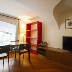 Rent 1 bedroom apartment of 45 m² in Torino