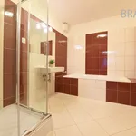 Pronajměte si 3 ložnic/e byt o rozloze 96 m² v Prague