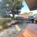 Rent 3 bedroom apartment of 65 m² in Pisa