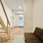 Rent 1 bedroom apartment of 23 m² in Brno