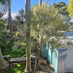 Rent 3 bedroom house in Auckland