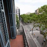 Rent 6 bedroom apartment in Barcelona