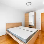 Pronajměte si 2 ložnic/e byt o rozloze 67 m² v Prague