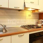 Rent 2 bedroom apartment of 45 m² in Pomezia