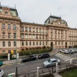 Pronajměte si 1 ložnic/e byt o rozloze 61 m² v Prague