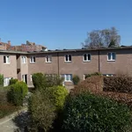 Appartement de 25 m² avec 1 chambre(s) en location à Leuven