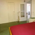 Rent 2 bedroom apartment of 62 m² in Bari (BA) Libertà