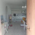 Rent 3 bedroom apartment of 110 m² in Monte Compatri