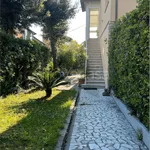 Rent 3 bedroom house of 100 m² in Pisa