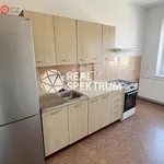 Rent 3 bedroom apartment of 70 m² in Brno