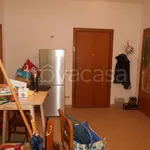 Rent 2 bedroom apartment of 60 m² in Milano