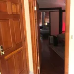 Rent 1 bedroom apartment in New York