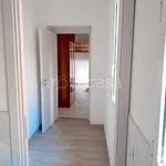 Rent 1 bedroom apartment of 25 m² in Piacenza