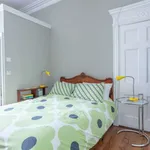 Rent 1 bedroom apartment in dublin