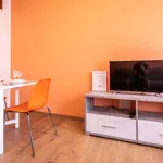 Rent 2 bedroom apartment of 65 m² in Udine