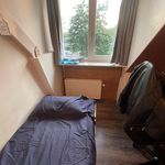 Rent a room of 7 m² in  Eindhoven