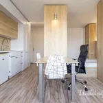 Pronajměte si 1 ložnic/e byt o rozloze 31 m² v Prague