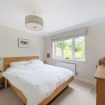 Rent 4 bedroom house in Winchester