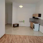 Rent 2 bedroom apartment of 52 m² in České Budějovice