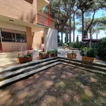 Rent 4 bedroom apartment of 130 m² in Minturno