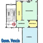 Rent 2 bedroom apartment of 59 m² in Turin