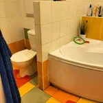 Rent 3 bedroom apartment in Tábor