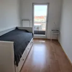 Rent 3 bedroom apartment of 86 m² in Leipzig