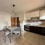 Rent 3 bedroom apartment of 65 m² in Pisa