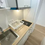 Rent 5 bedroom apartment in Madrid