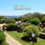 Rent 1 bedroom apartment of 50 m² in Palau