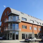 Rent 1 bedroom apartment of 48 m² in Londerzeel