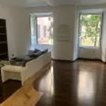 Rent 3 bedroom apartment of 90 m² in Rome