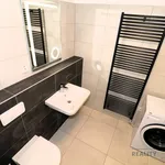 Rent 1 bedroom apartment in Brno