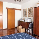 Rent 4 bedroom apartment in Rome