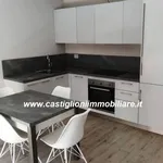 Rent 2 bedroom apartment of 58 m² in Magenta