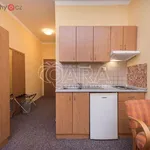 Rent 1 bedroom apartment of 25 m² in Praha