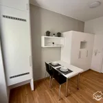 Rent 1 bedroom apartment in Brno