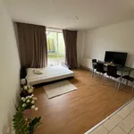 Rent 1 bedroom apartment in Ústí nad Orlicí