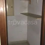 Rent 2 bedroom apartment of 56 m² in Torino