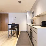 Rent 1 bedroom apartment in madrid