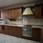 Rent 20 bedroom house of 500 m² in Włocławek