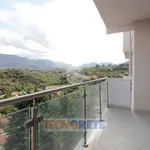 Rent 2 bedroom apartment of 55 m² in Monreale