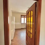 Rent 3 bedroom apartment of 76 m² in Turin