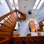 Rent 2 bedroom apartment of 40 m² in Bologna