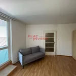 Rent 1 bedroom apartment in Capital City of Prague