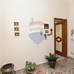 Rent 4 bedroom house of 150 m² in Caltagirone