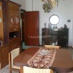 Rent 4 bedroom apartment of 100 m² in Catania